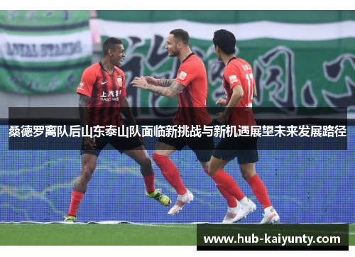 桑德罗离队后山东泰山队面临新挑战与新机遇展望未来发展路径