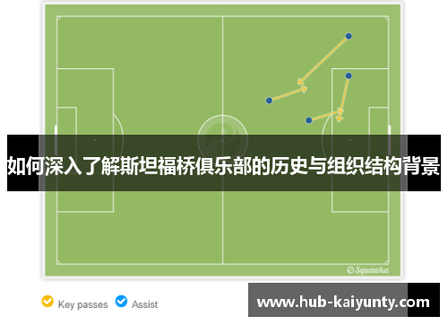 如何深入了解斯坦福桥俱乐部的历史与组织结构背景