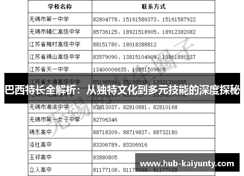 巴西特长全解析：从独特文化到多元技能的深度探秘