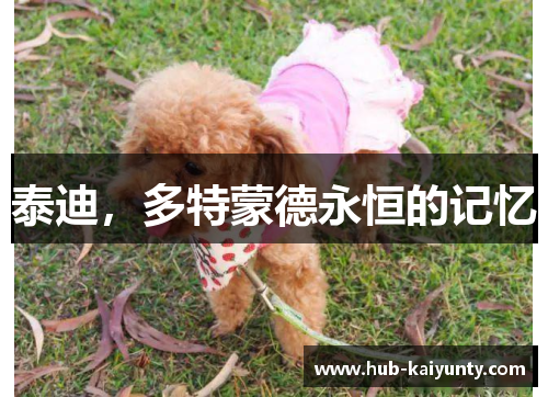 泰迪，多特蒙德永恒的记忆