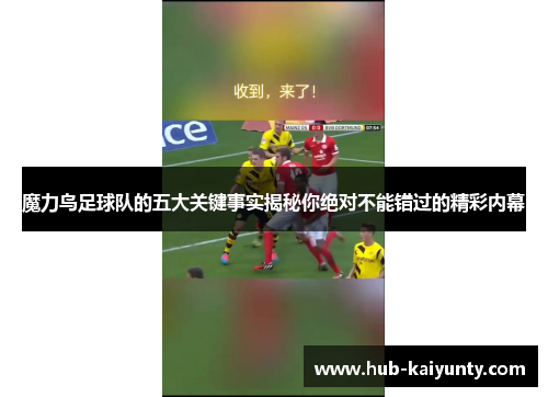 魔力鸟足球队的五大关键事实揭秘你绝对不能错过的精彩内幕